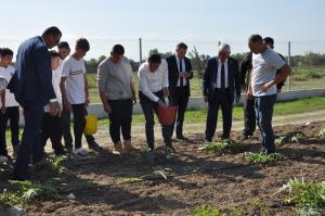 Tarım Bakanı Dursun Oğuz ve Güzelyurt Belediye Başkanı Mahmut Özçınar Efeler’den Güzelyurt’a Uzanan Enginarın Yolcuğu’ adlı projeyi yerinde inceledi